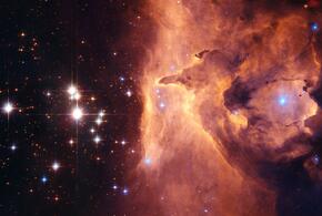 У Близнецов будет напряженный день, а Скорпионов ожидают приятные покупки