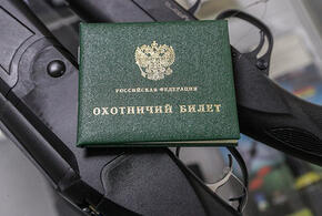 У кубанца с непогашенной судимостью отняли охотничий билет