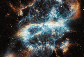 У Овнов сегодня день духовного поиска, а у Близнецов отличное время для риска