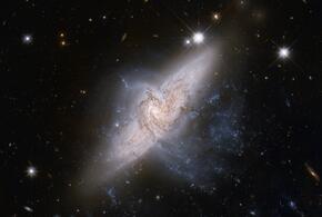 У Тельцов день перемен, а Раков ждут новые открытия