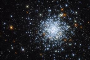 У Тельцов настало время для смелых шагов, а Близнецы могут почувствовать усталость от работы