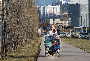 Учёные рассказали, почему на свет появляется всё больше близнецов