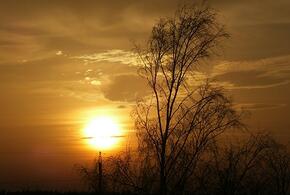 Удары солнца продолжаются: землян ждут новые магнитные бури