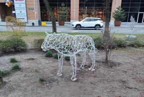 Улицу Красную в Краснодаре, где установил иллюминацию Галицкий, за новогодние праздники просто вытоптали