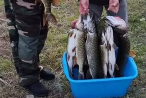 Лот является действующим прудовым хозяйством 