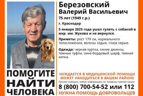 В Краснодаре дедушка ушёл гулять с собакой и не вернулся