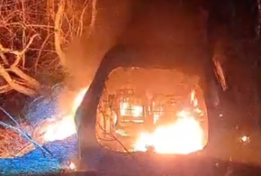 В можжевеловом лесу на Кубани неизвестные подожгли машину