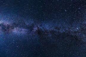 Весам звезды советуют уделить внимание здоровью, а Стрельцам – придерживаться правильного питания