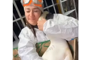 Волонтер в Анапе расплакалась от объятий спасенного лебедя