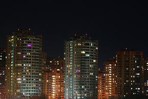 Ядовитые цветы распустились в парке Галицкого, в России продаётся опасная Coca-Cola: ТОП-5 за 29 января