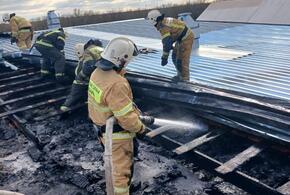 50 человек эвакуировали пожарные с загоревшегося винзавода в Темрюкском районе Кубани