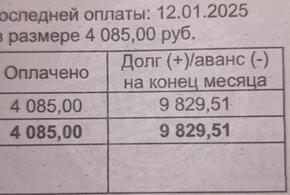 Чудеса продолжаются: жители Сочи столкнулись с кратным ростом платежа за электроэнергию