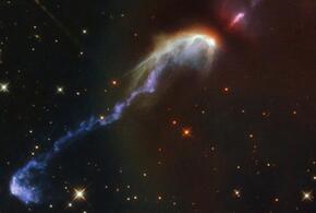 Для Рыб день может стать судьбоносным, Скорпионам нужно избегать острой пищи