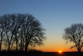 Двухнедельного младенца пытались продать злоумышленники, абориген вышел к людям: что произошло, пока вы спали