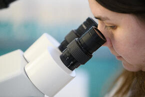 Эксперты прокомментировали ситуацию с метапневмовирусной инфекцией в России