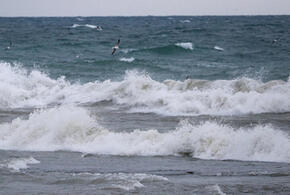 ЕС ввёл санкции против новороссийского порта