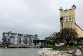 Ейский портовый элеватор оштрафовали почти на 2 млн рублей за загрязнение Азовского моря