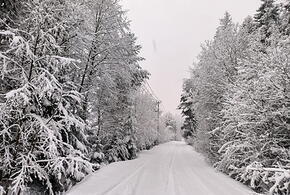 Из-за мощного снегопада в Ростовской области задерживаются 17 поездов на юг