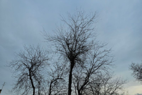 Какой будет погода на Кубани 12 февраля, рассказали синоптики