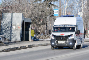 Хозяин псов, отгрызших лицо ребенку в Сочи, не кормил их 10 дней