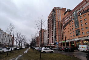 Когда придет тепло на Кубань, прогноз синоптиков