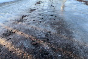 Мороз стукнет в Краснодаре, предупредили синоптики