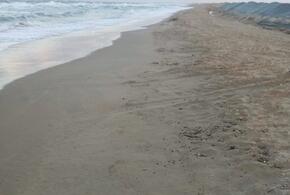 На 11 участках пляжей рядом с Анапой после шторма обнаружили новые выбросы мазута