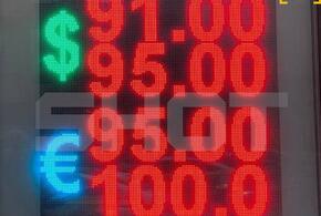 Не остаться в минусе: в городах России обменники закрываются из-за резкого падения курса доллара