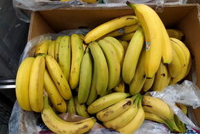 О свойствах зелёных и спелых бананов рассказали врачи