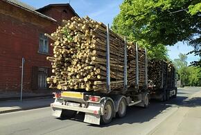 Около 2 тысяч кубометров ценной древесины вывезли контрабандисты с Кубани в Грузию