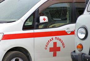 Отец мальчика, на которого напали две хаски в Сочи, рассказал, что лицо ребенку могут не восстановить