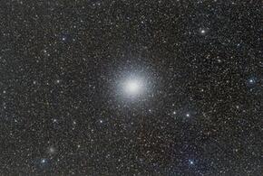 Сегодня Весы сделают шаг навстречу мечте, новые знакомства необходимы Львам 