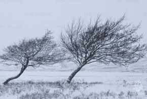 Сильнейший ветер и большие волны ожидаются в ближайшие дни на Черноморском и Азовском побережье