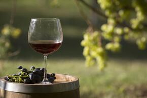 Смертельные дозы вина и пива назвала врач