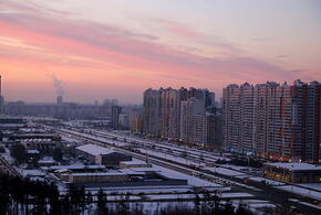 Танкисты ВС России уничтожили замаскированный склад натовских снарядов, ротвейлер напал на женщину с 5-летним ребенком: что произошло, пока вы спали