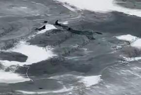 Трое студентов провалились под лёд на озере в Краснодаре