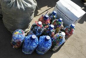 Ученые установили, сколько микропластика содержится в мозге современного человека 