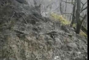 В Сочи оползнем перекрыта дорога к популярному туристическому объекту