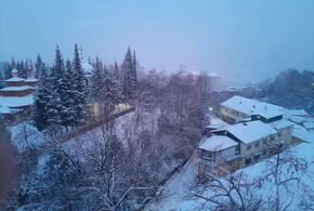 Все, приехали: водители автобусов в Сочи отказываются выходить на линию из-за нечищенных от снега дорог