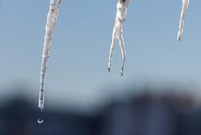 Ждать ли тепла: какая погода будет на Кубани с 24 февраля по 2 марта