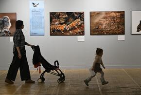 144 кубанские семьи, принявшие на воспитание детей, получили выплаты с начала 2025 года