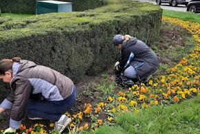 Более 200 парков и скверов Краснодара планируется привести в порядок нынешней весной