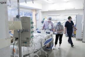 Бывшая супруга отца пострадавшего от собак в Сочи 9-летнего школьника задержана в в Белореченске