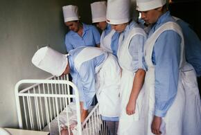 Дагестанка продала свою только что родившуюся дочь акушерке