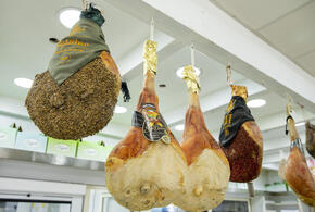 Фермеры привезли в кубанскую столицу свои продукты, а также саженцы 