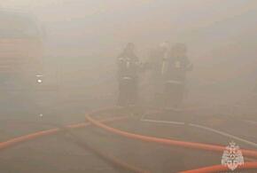 Как выглядит после серьёзного пожара Кооперативный рынок в Краснодаре