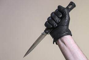 Кровавую резню устроил в гостях у своего друга в Сочи гость из Приморья