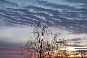 Мужчина открыл стрельбу с крыши дома по полицейским, боевик ВСУ избил женщину из-за русских песен: что произошло, пока вы спали