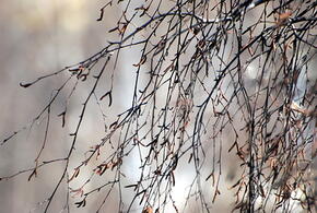 Над Кубанью сбит беспилотник, задержаны, похитившие подростка, мужчины: что произошло, пока вы спали