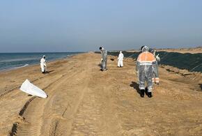 Новые выбросы мазута из моря зафиксированы в Анапе